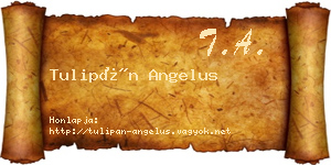 Tulipán Angelus névjegykártya